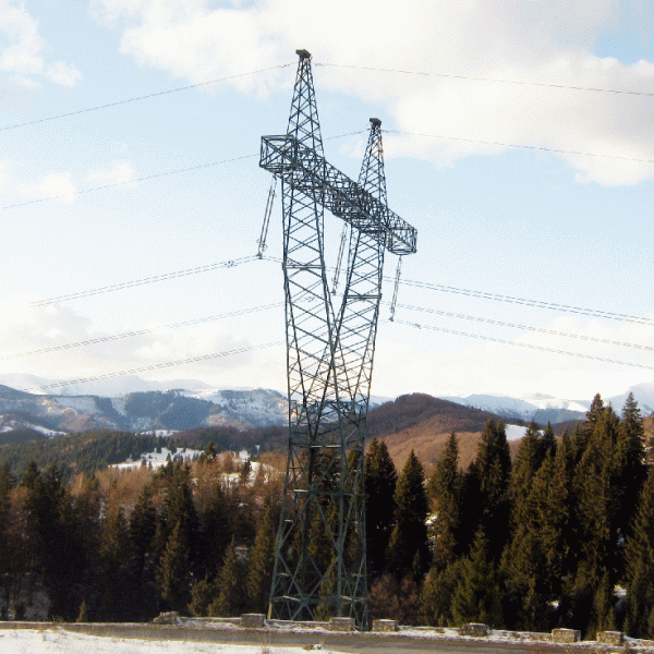 Grupul Electrica SA controlează 39% din distribuţia de electricitate